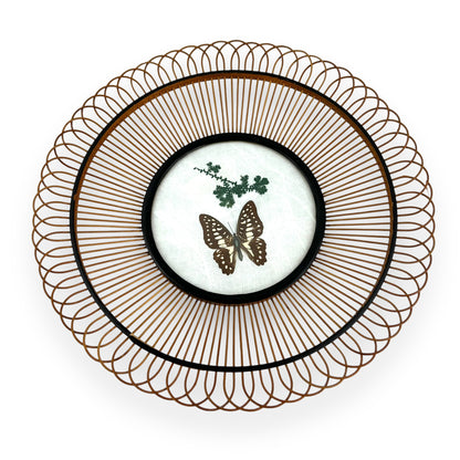 Decorative Butterfly Plate