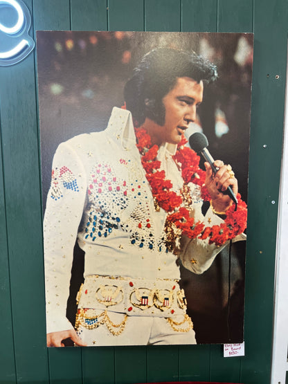 Elvis Presley Concert Photo Print on Board