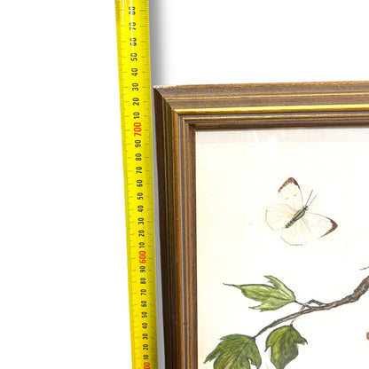 Large Framed Butterfly & Tree Artwork with Real Butterfly Wings — Signed M. Ginsberg, 1982