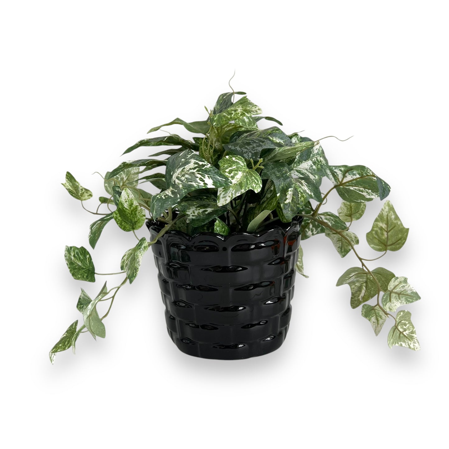 Black Basket Weave Ceramic Plant Pot - Made in Taiwan