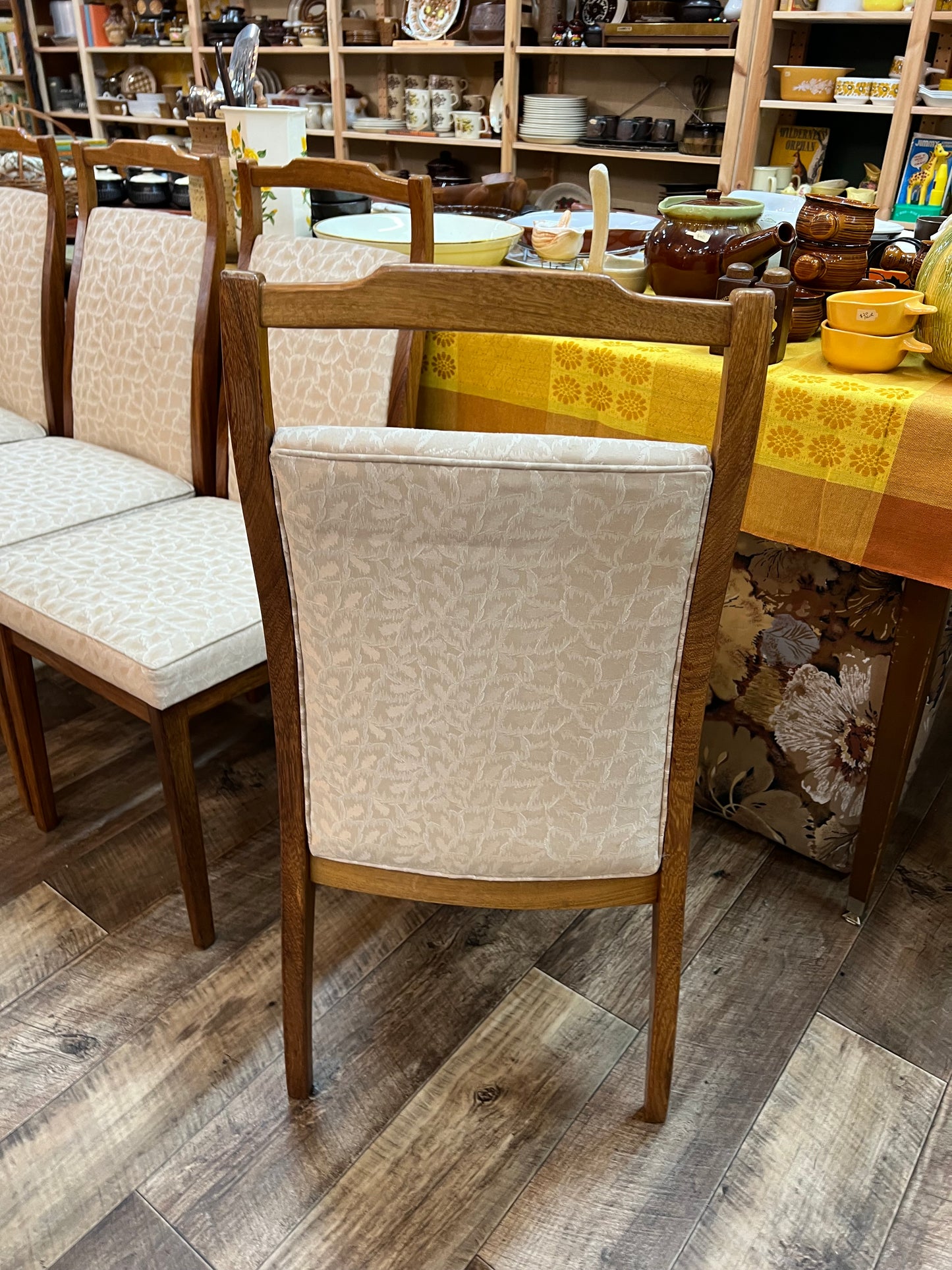 Rosando Mid-Century Queensland Blackbean Dining Chairs