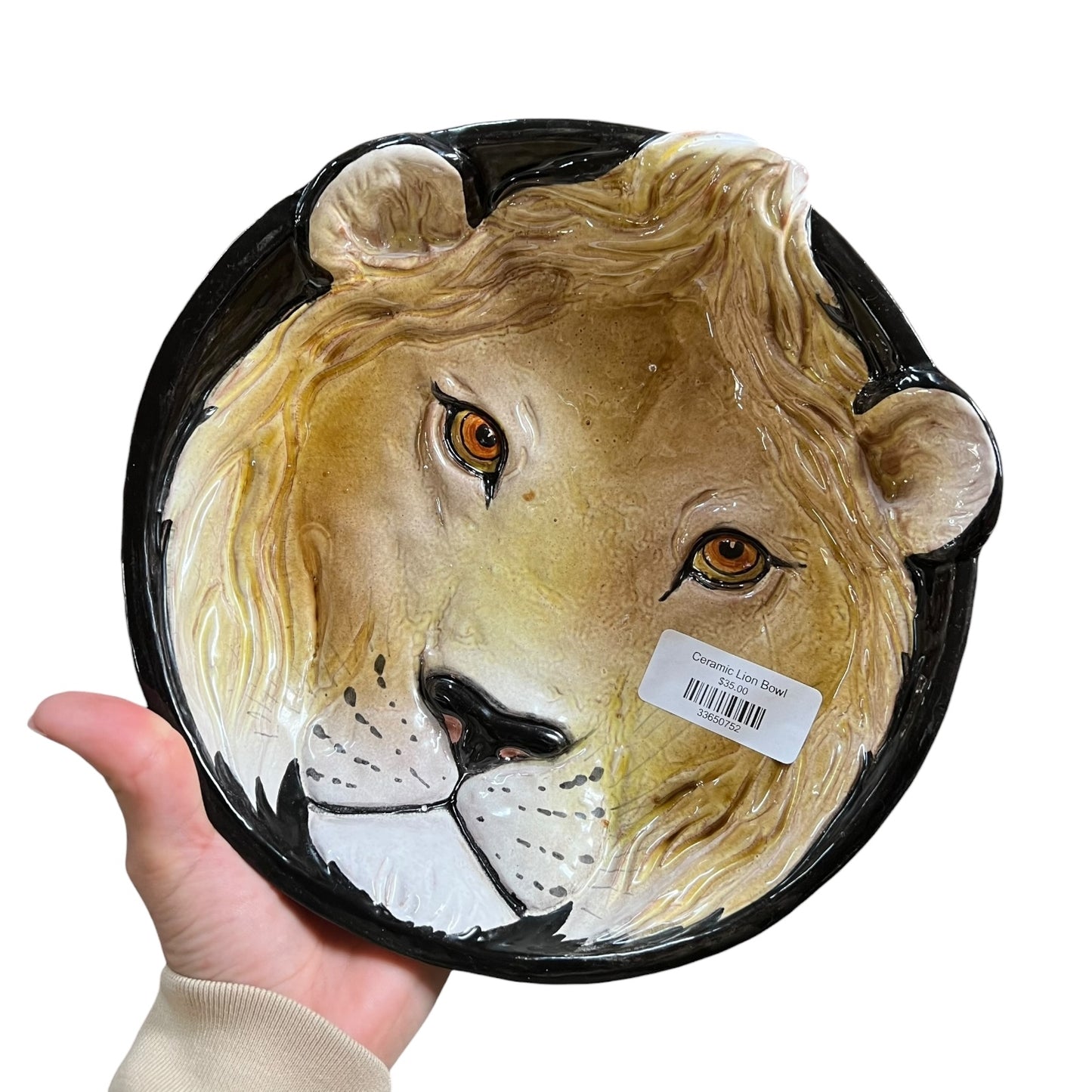 Ceramic Lion Bowl