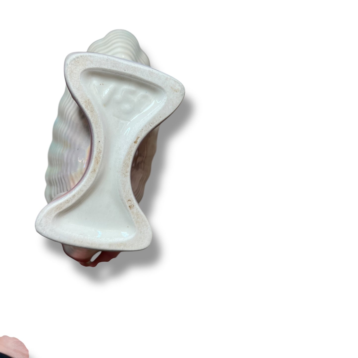 Iridescent Shell Vase