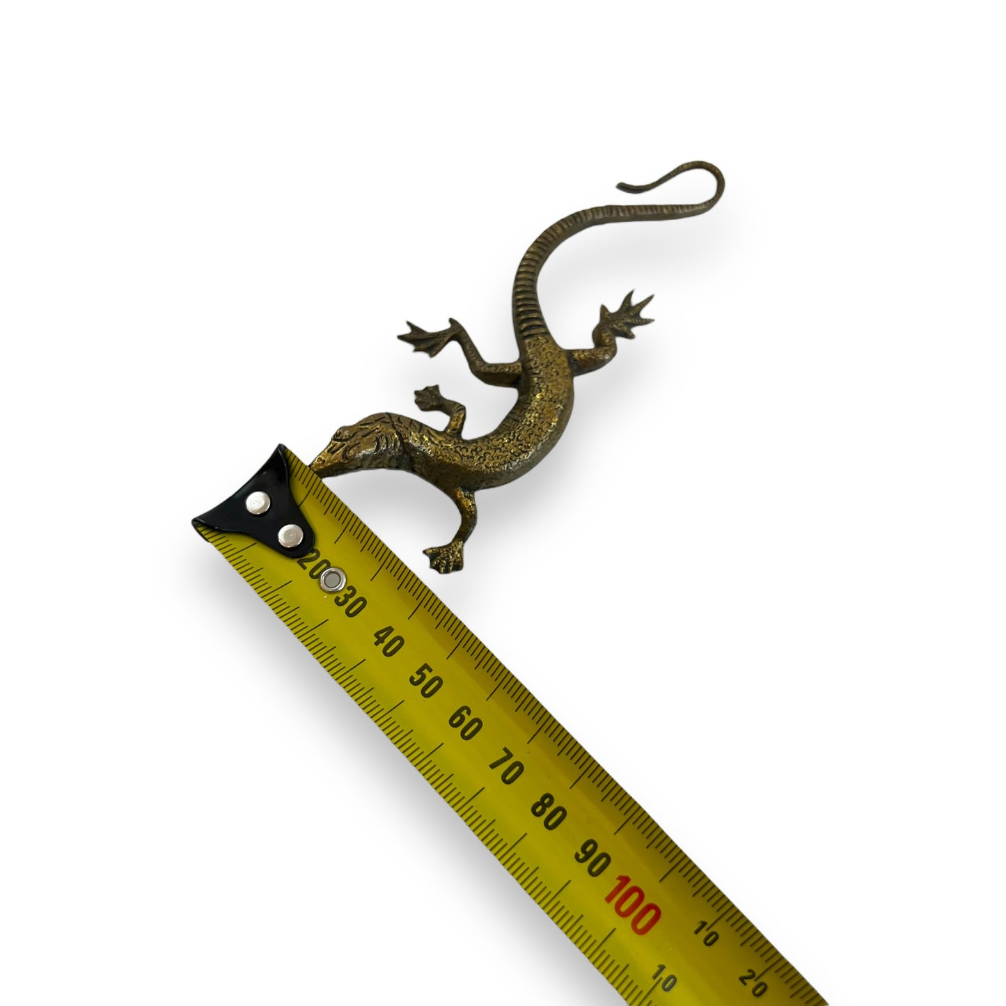 Brass lizard