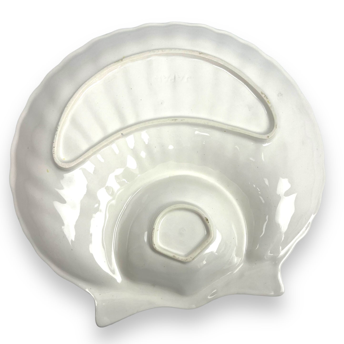 White large shell plate