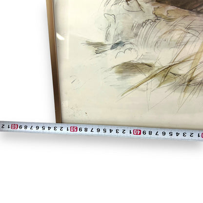 Red Fox framed Print - Woho  79
