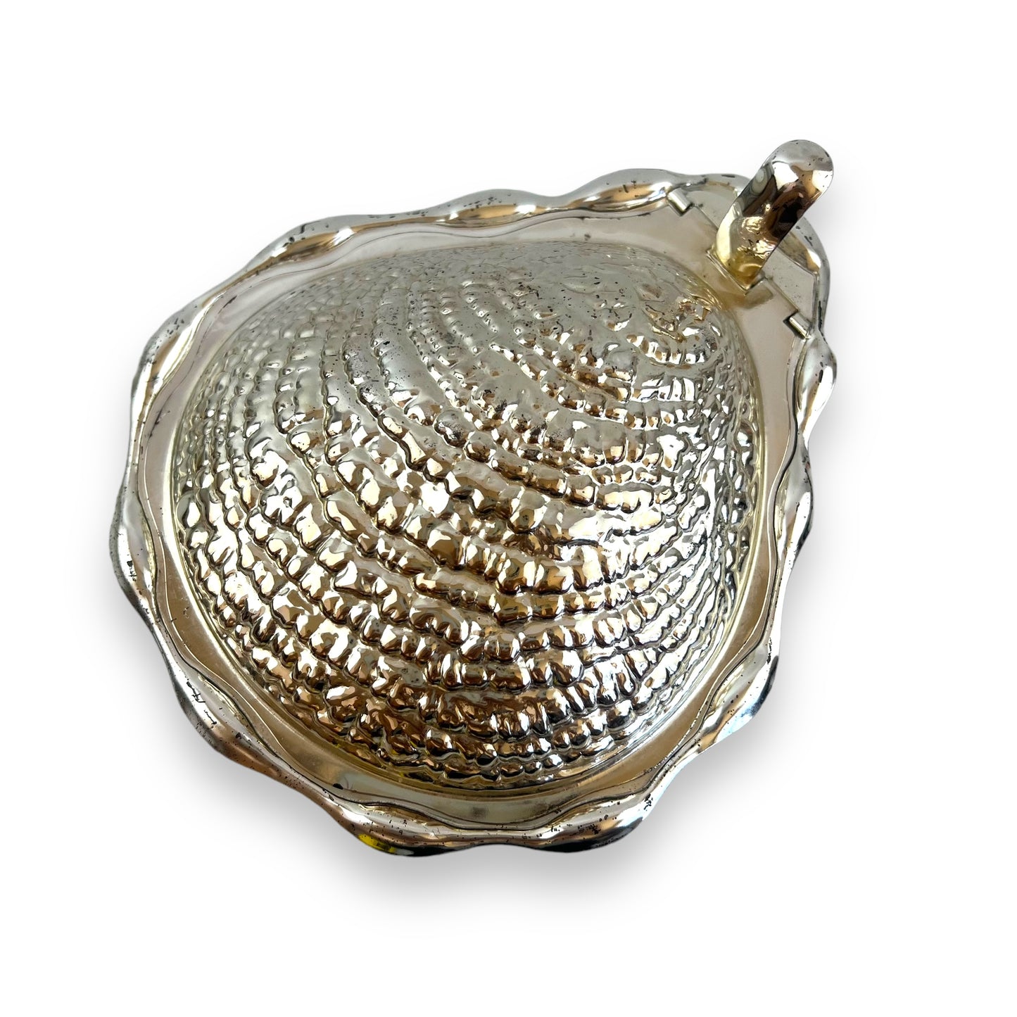 Seashell Trinket Box with Removable Dish