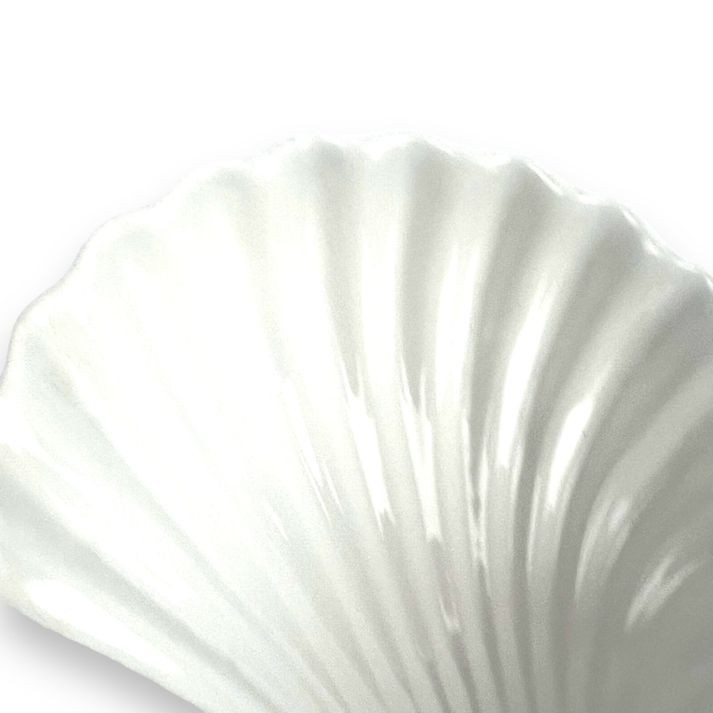 White shell bowl/trinket dish