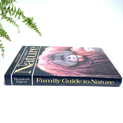 Nature Book - Vintage Readers Digest Family Guide to Nature Book 1984