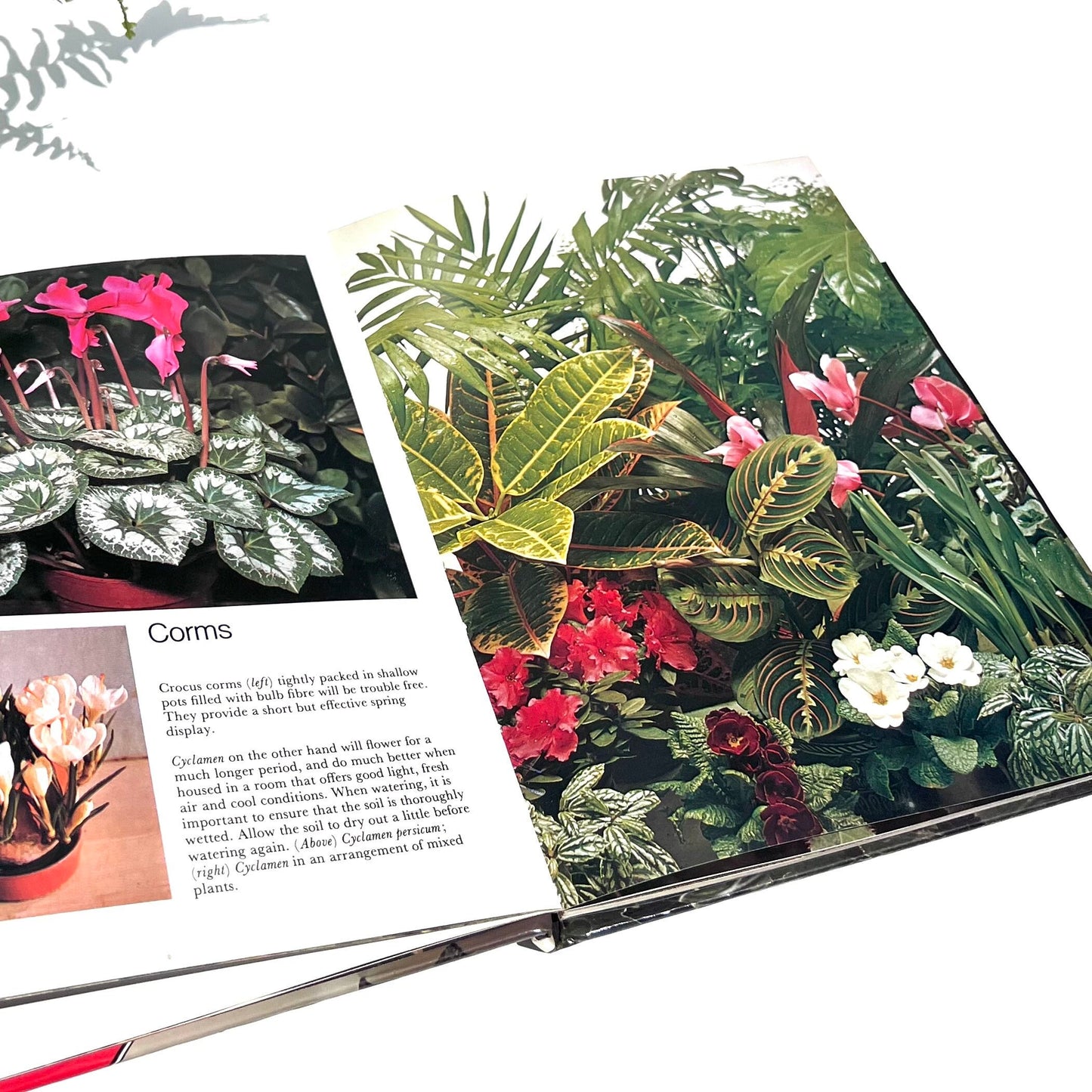 Indoor Plants Book - Vintage Indoor Plants in Colour Book