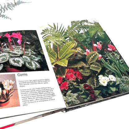 Indoor Plants Book - Vintage Indoor Plants in Colour Book