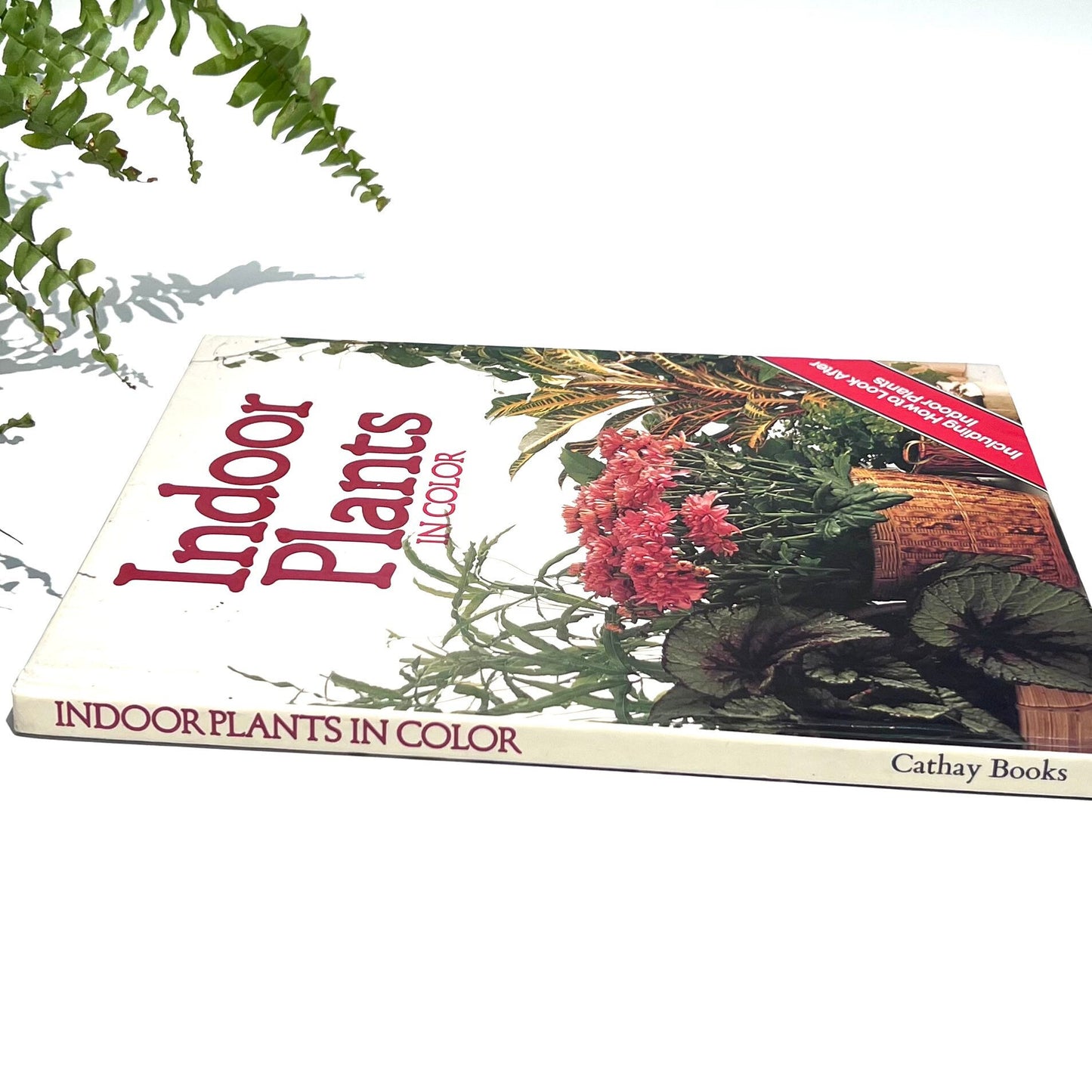 Indoor Plants Book - Vintage Indoor Plants in Colour Book