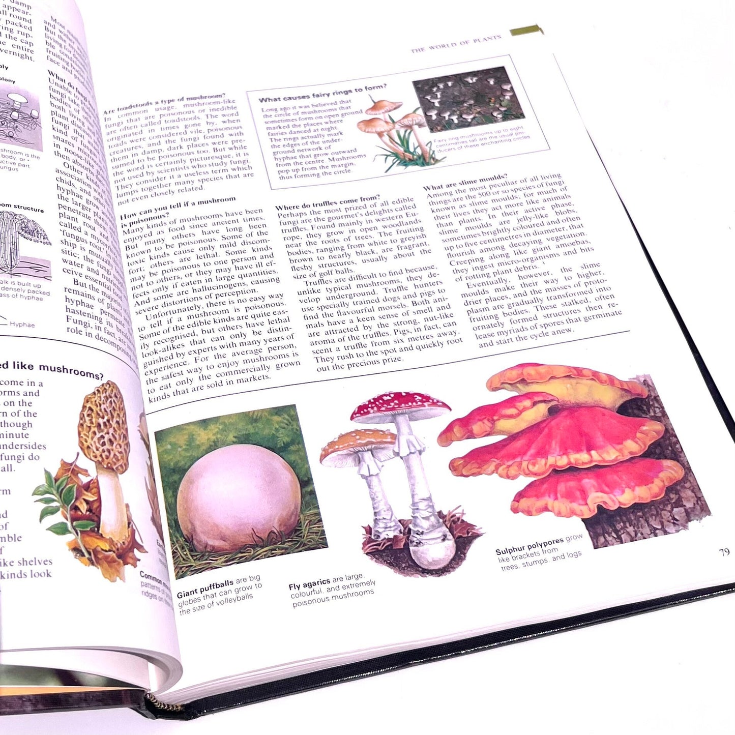 Nature Book - Vintage Readers Digest Family Guide to Nature Book 1984