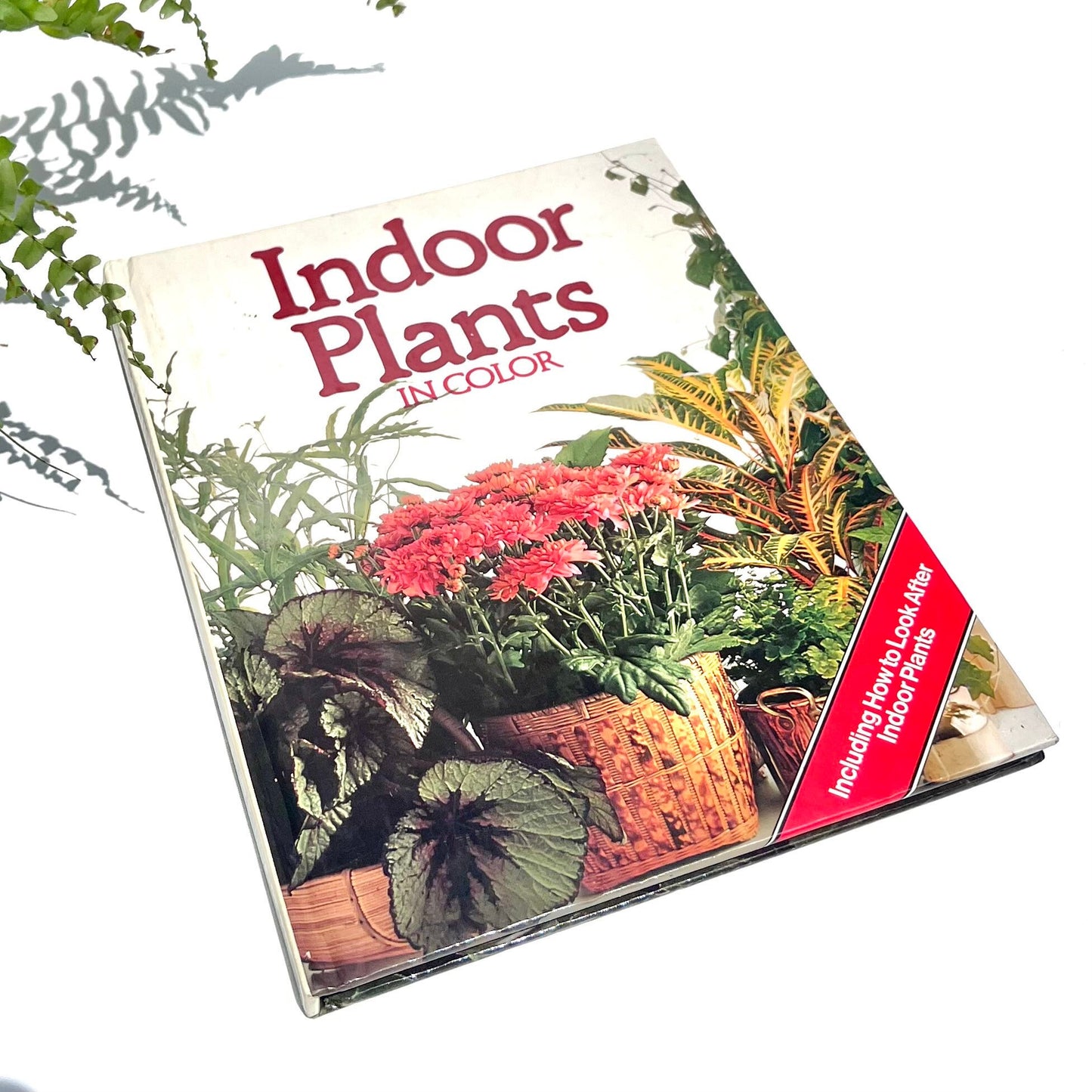 Indoor Plants Book - Vintage Indoor Plants in Colour Book