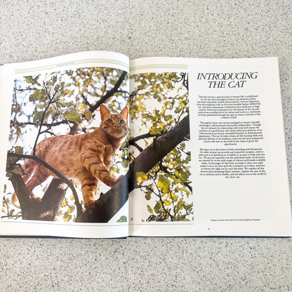 The complete guide to the cat hard cover book - Angela Sayer