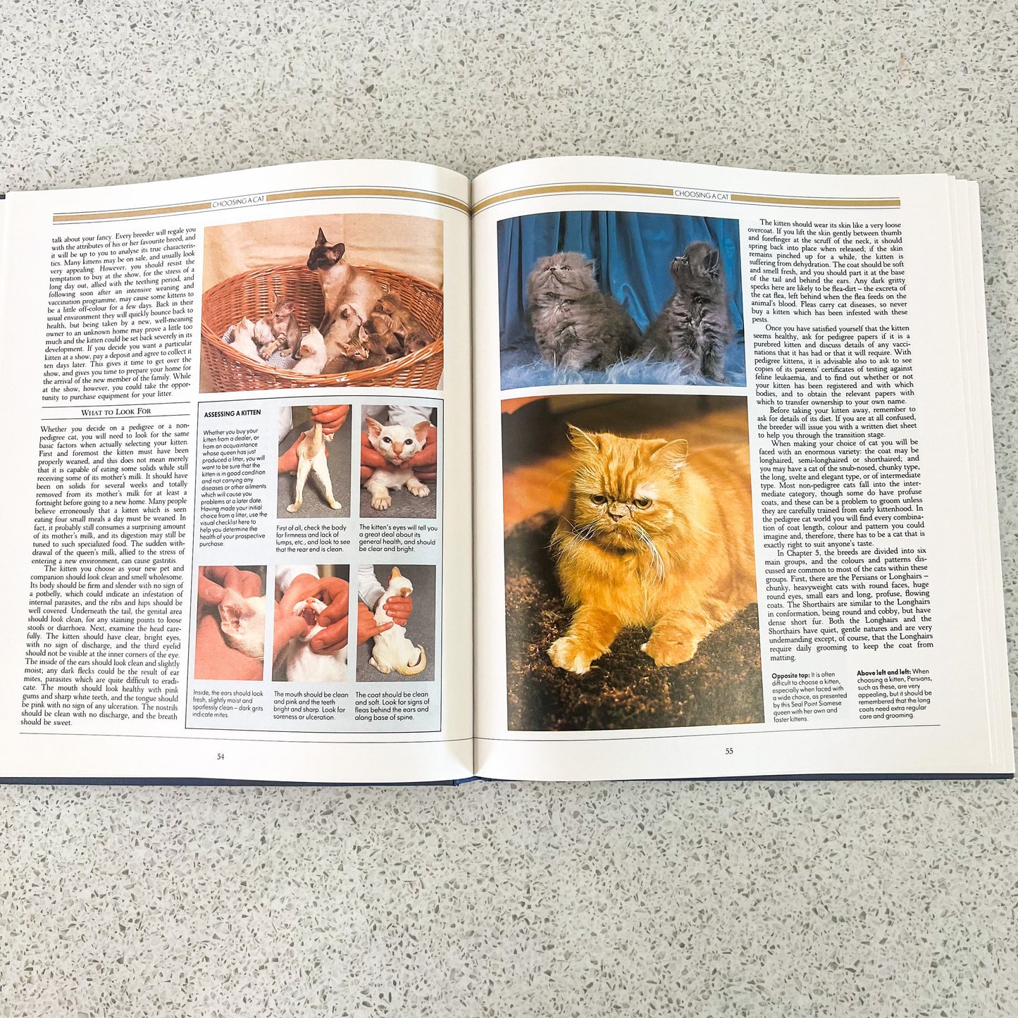 The complete guide to the cat hard cover book - Angela Sayer