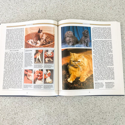 The complete guide to the cat hard cover book - Angela Sayer