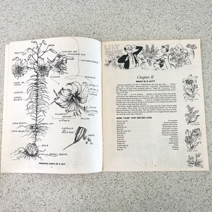 Let’s grow lilies soft book pamphlet handbook. The North American Lily Society 1984 USA