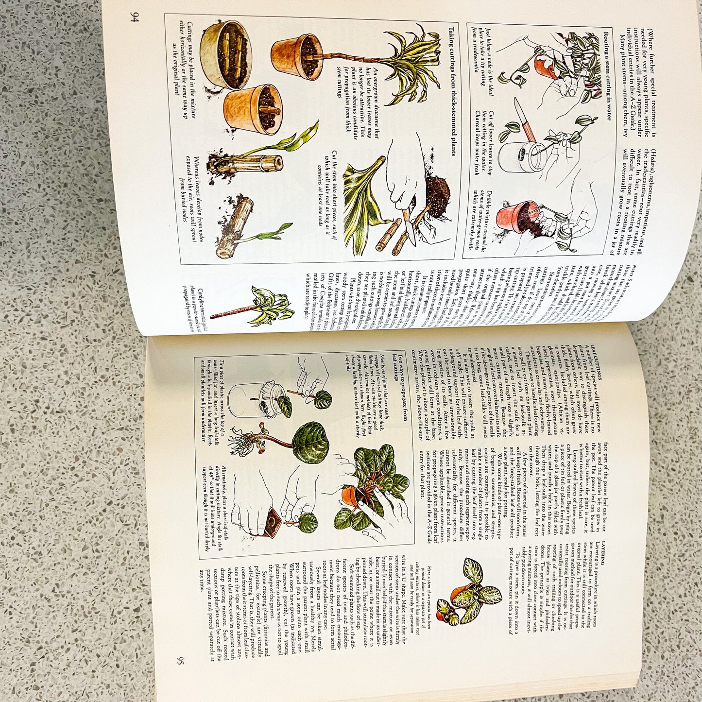 Readers Digest Complete Guide to Indoor Plants