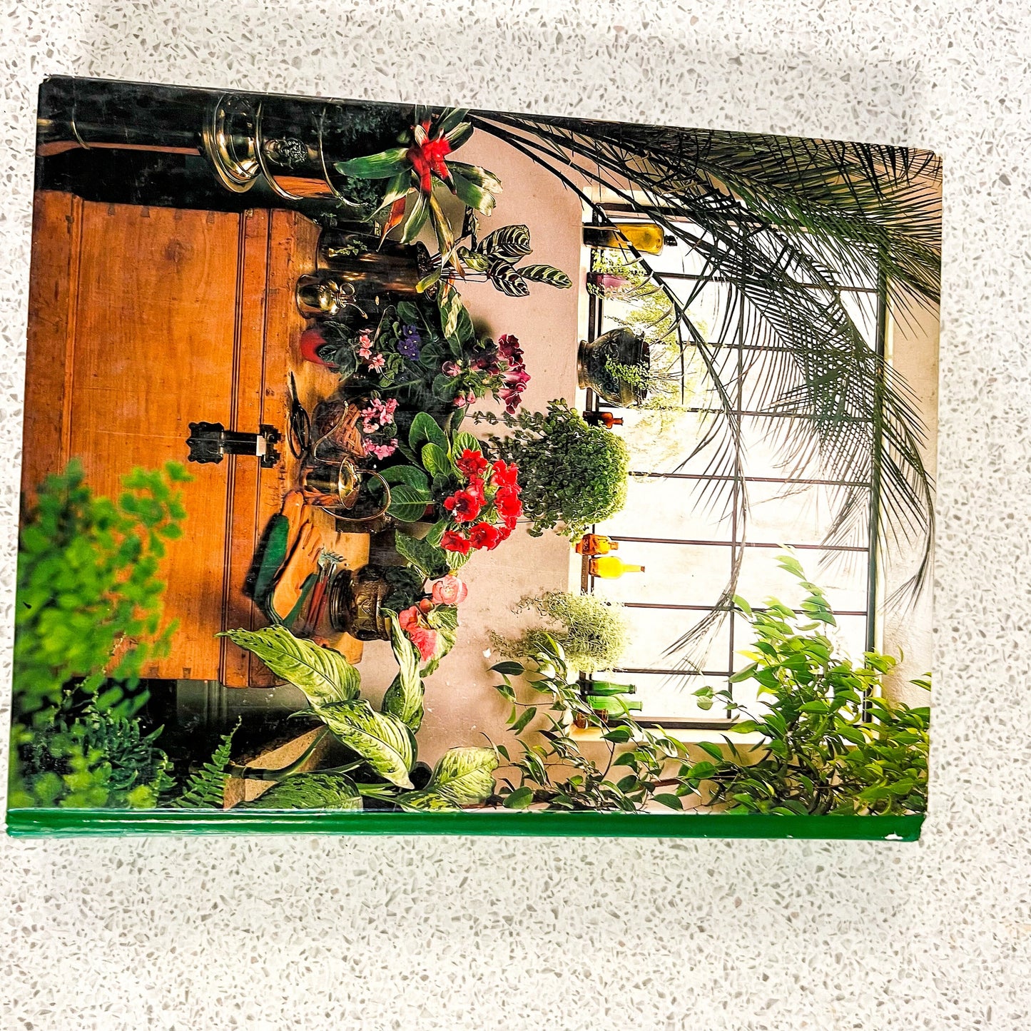 Readers Digest Complete Guide to Indoor Plants