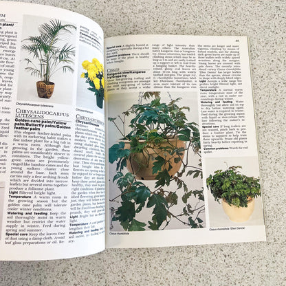The easy guide to indoor plants soft cover book - By Sylvia Woffenden
