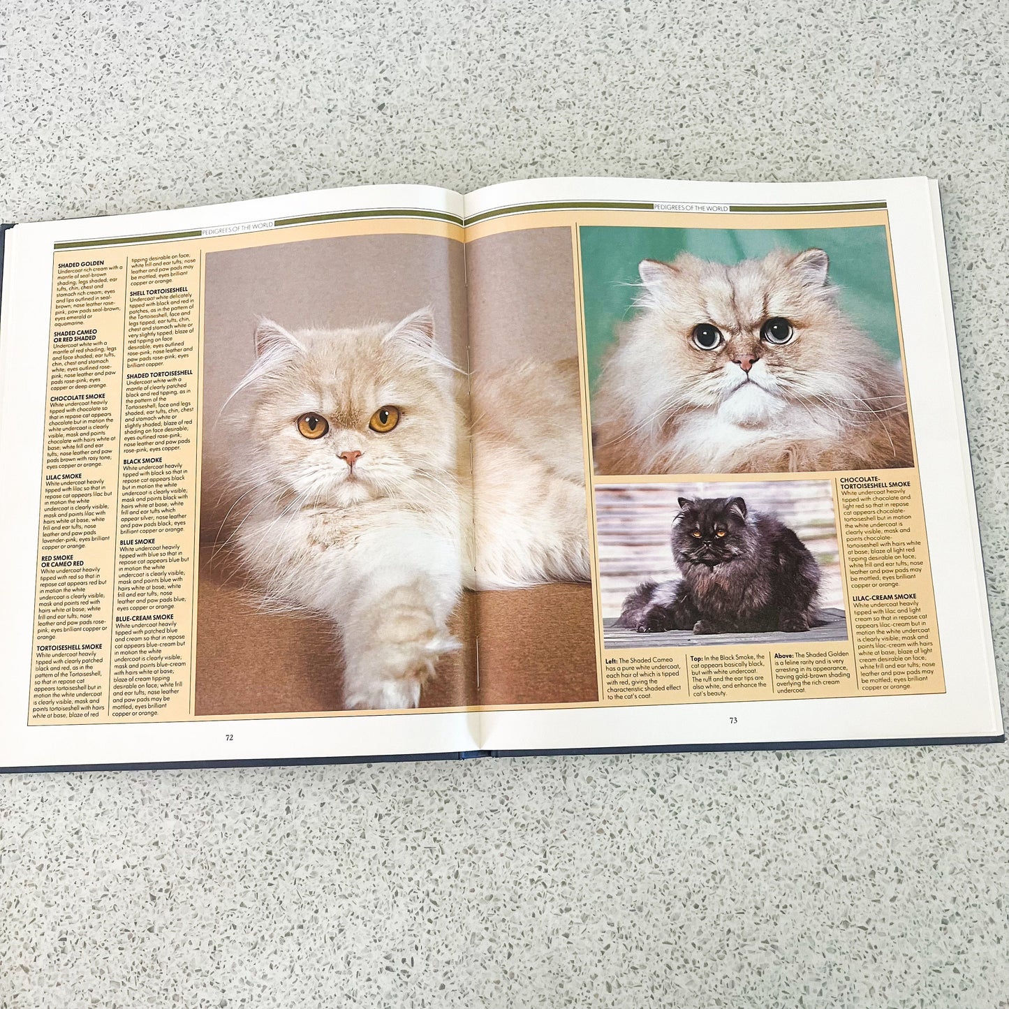 The complete guide to the cat hard cover book - Angela Sayer