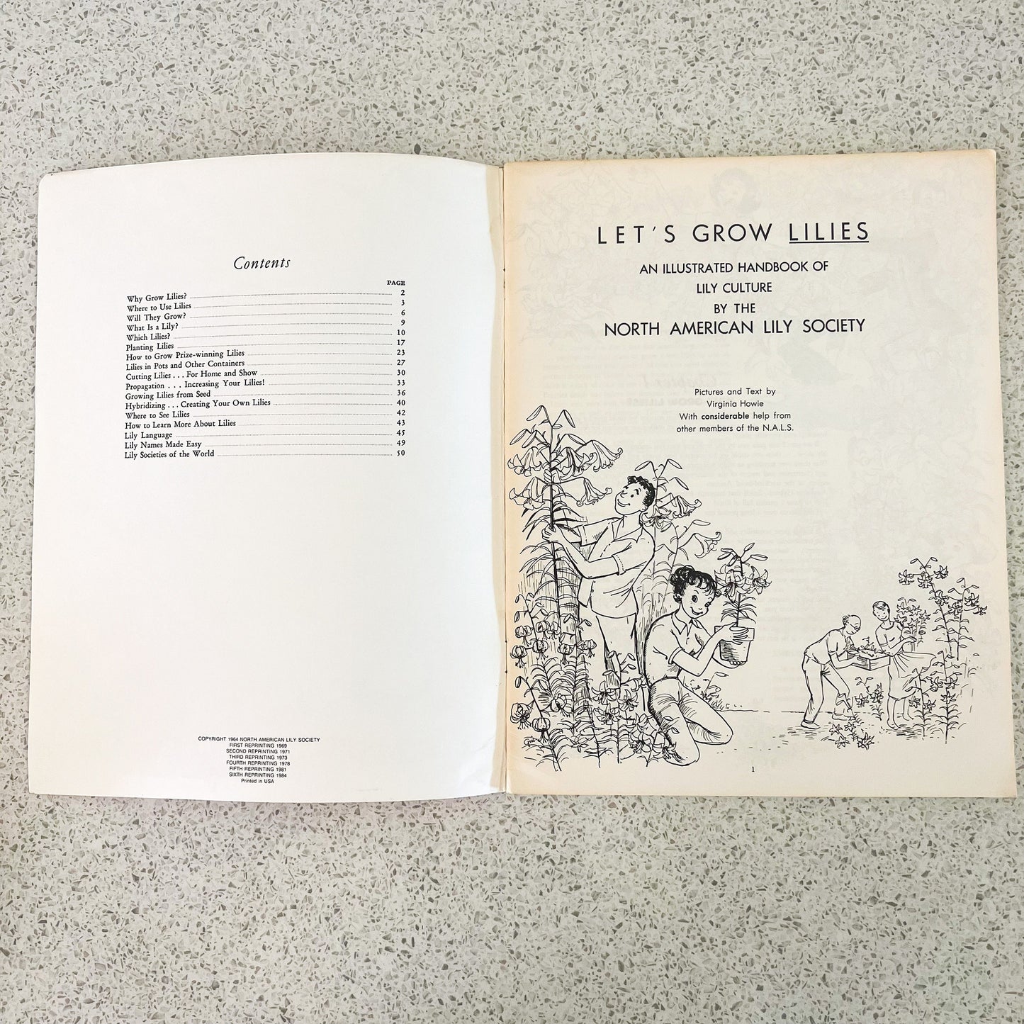 Let’s grow lilies soft book pamphlet handbook. The North American Lily Society 1984 USA