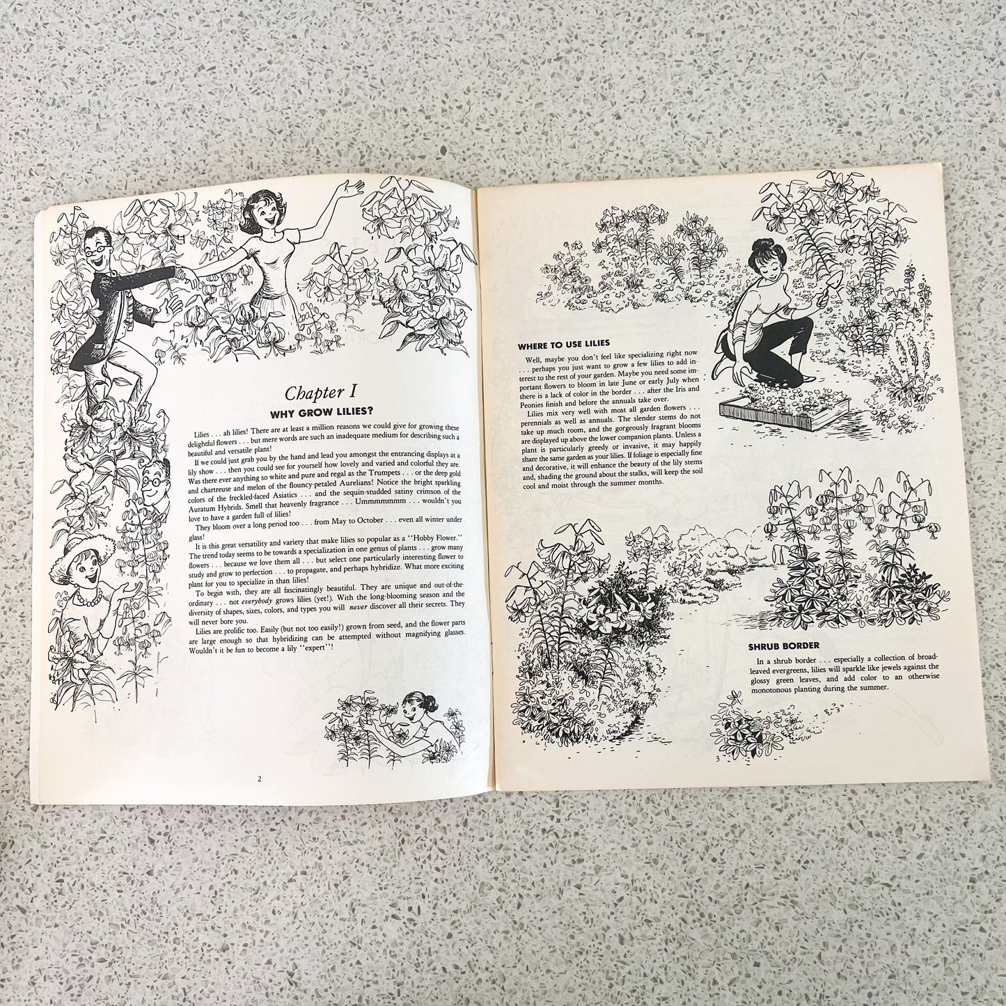 Let’s grow lilies soft book pamphlet handbook. The North American Lily Society 1984 USA