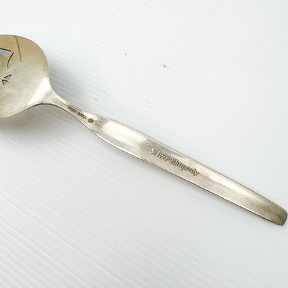 Silver cake serving utensil