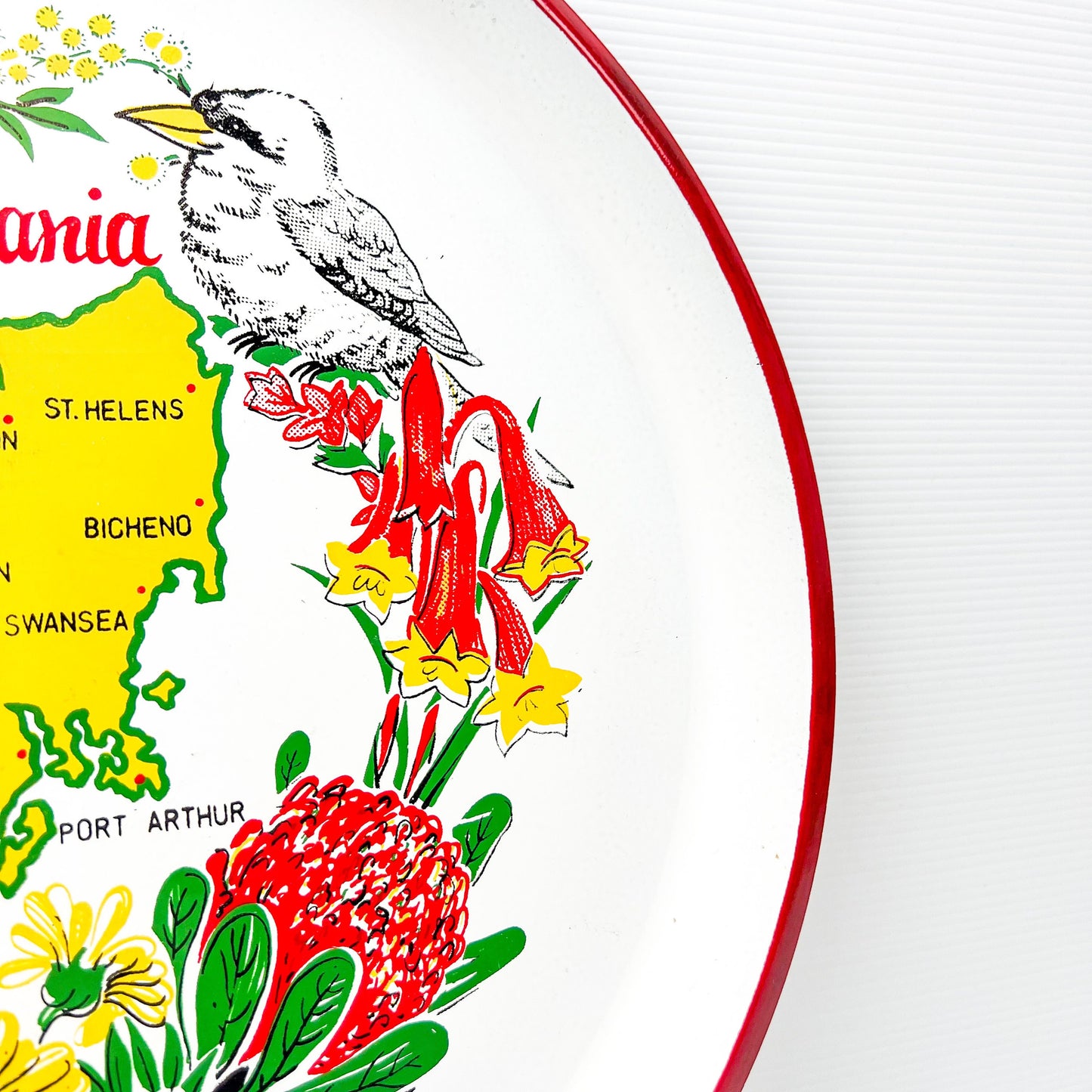 Tasmania Novelty Souvenir Plastic Serving Tray