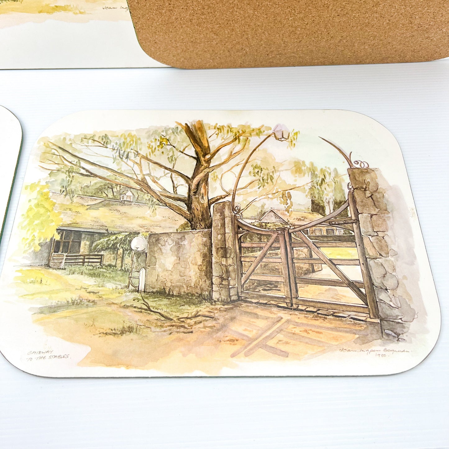 Maurice Hudson Australian Outback themed placemat set of 6 in box