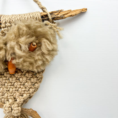 Macrame Owl Wall Hanging