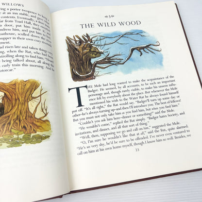 The Wind in the Willows Hardcover Book - 1980