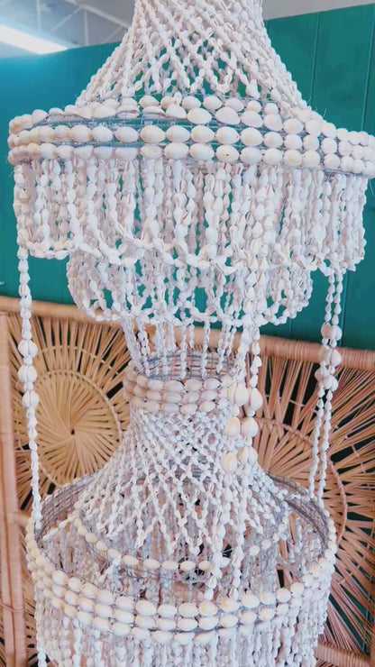 Large Shell Chandelier